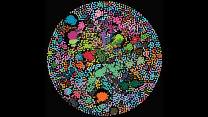 I Big Data aiutano ad esplorare la parte oscura del Dna