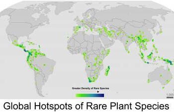 Il 40% delle specie di piante a rischio per il clima