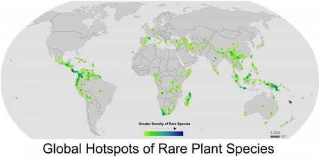 Il 40% delle specie di piante a rischio per il clima