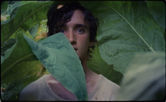 Lazzaro Felice è terzo film dell’anno per Guardian