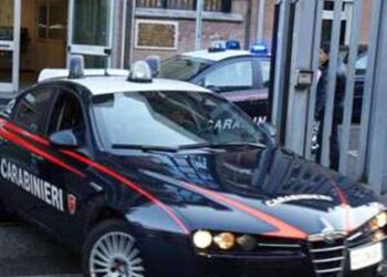 Lega a albero e picchia coetaneo, fermato