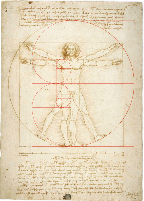 L’Uomo Vitruviano, è un algoritmo. Concas all’ANSA