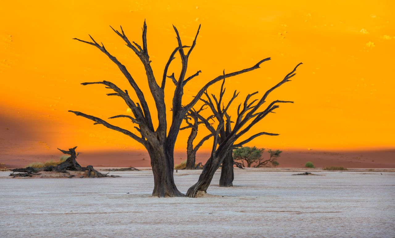 immagine 1 articolo meteo africa gravissima siccita in namibia la peggiore da 100 anni