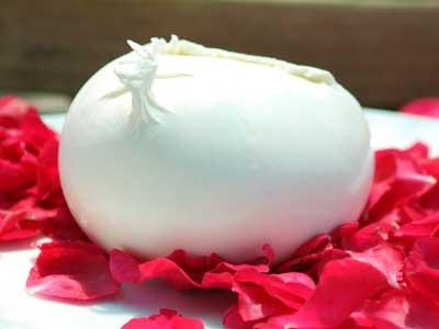 Mozzarella bufala campana in campo per packaging ecosostenibile