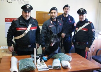 Nascondeva 1,6 chili di droga, arrestato