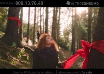 Natale: al via campagna Altroconsumo ‘Adotta un albero’  