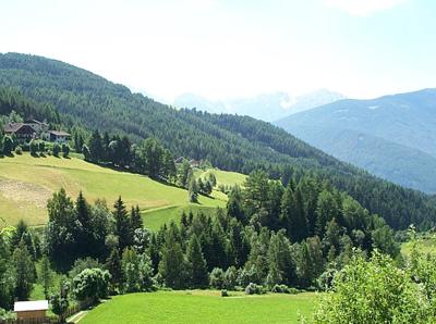 Dalla casa alle piazze, gli alberi di Natale veri sono più sostenibili