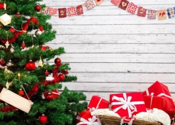 Natale: Florovivaisti Italiani, ‘abeti sintetici? 2 secoli per smaltirli’  