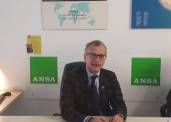 Regione: Zanin, 2019 positivo per qualità e quantità