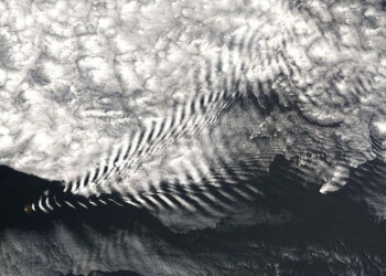 Rischio ondate calore simultanee in Europa, America e Asia