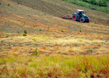 Schiacciato da trattore, morto 72enne