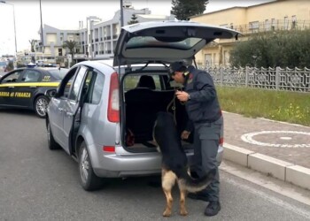 Spacciatore con reddito, ai domiciliari