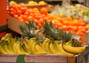 Torino: in un anno recuperati quasi 74mila Kg di cibo nel mercato Porta Palazzo  
