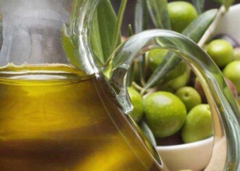 Torna il concorso Ercole Olivario