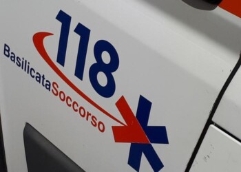 Travolto da un albero, morto un operaio