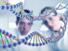 SANITÀ. TUMORI E TERAPIE AGNOSTICHE, DOMANI INCONTRO AL SENATO