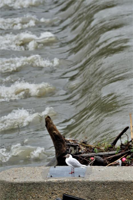 Ue, primo ok a regole per finanza green