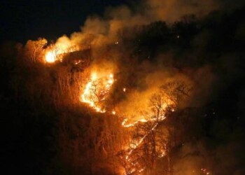 ‘Un anno in fiamme’, gli incendi del 2019  