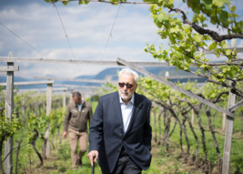 Vino: borsa studio per raccontare Paolo Foradori, vignaiolo social prima di Internet 