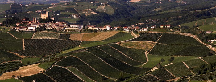 Vino:vendemmia ’19 e nuova cantina,Terre del Barolo cambia volto