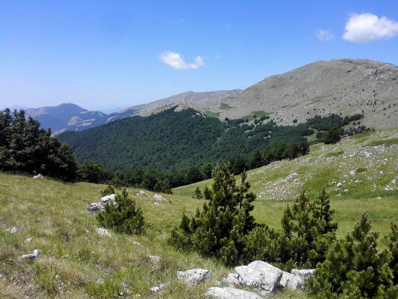 Le Faggete Vetuste UNESCO: una bandiera per la conservazione della natura in Europa