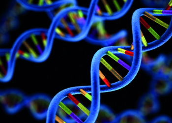 NUOVE FRONTIERE DEL CALCOLO,  CON HUXELERATE NASCE IL SISTEMA  PER ACCELERARE LE ANALISI GENOMICHE  NECESSARIE IN UNA SCIENZA MEDICA PERSONALIZZATA