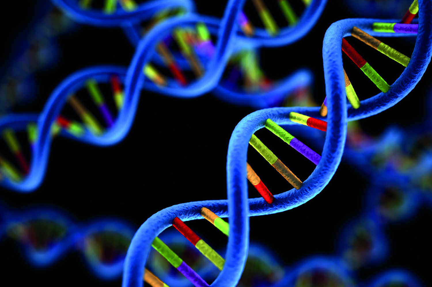 NUOVE FRONTIERE DEL CALCOLO,  CON HUXELERATE NASCE IL SISTEMA  PER ACCELERARE LE ANALISI GENOMICHE  NECESSARIE IN UNA SCIENZA MEDICA PERSONALIZZATA