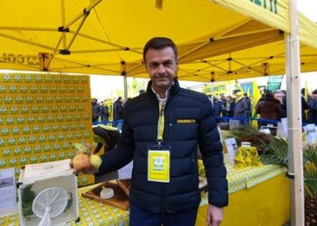 Agricoltura: Coldiretti, 1 mld danni nei campi da insetti ‘killer’  