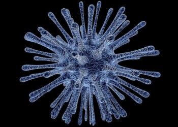 Cina, scoperti antichi virus intrappolati nei ghiacci