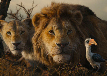 Cinema: Cinetel, nel 2019 crescono incassi e presenze