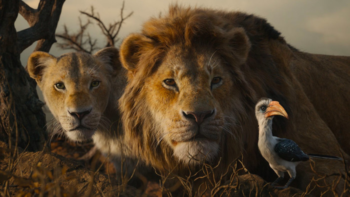 Cinema: Cinetel, nel 2019 crescono incassi e presenze