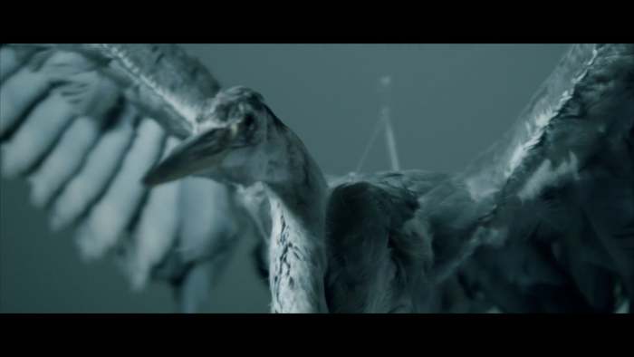 Cinema: Ferrara Film Corto dedicato a cambiamento climatico