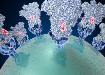 Coronavirus e Sars, una gara di velocità