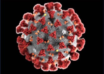 Coronavirus, quali i sintomi e come si trasmette