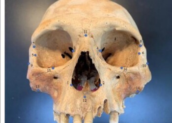 Cristoforo Colombo aveva ragione, ai Caraibi c’erano i cannibali