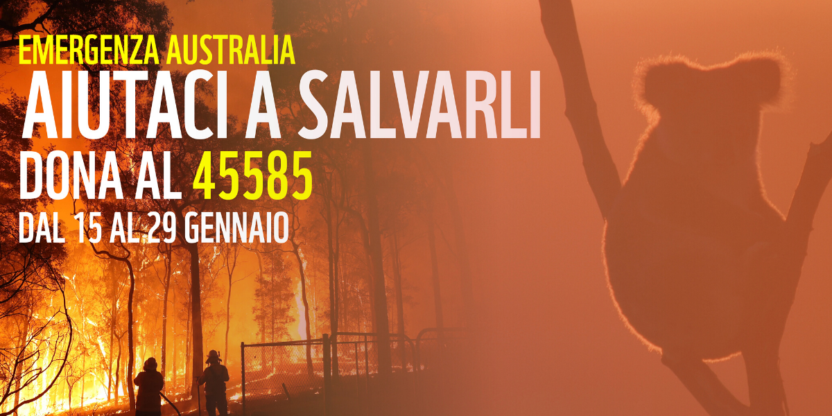 Emergenza Australia, da oggi numero solidale WWF