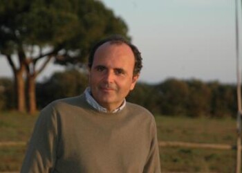 Fisco: Cremonese (Luiss), ‘positivo taglio cuneo ma vero problema è produttività’  