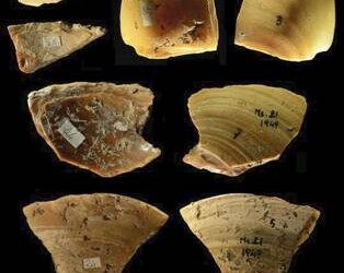 I Neanderthal erano subacquei, le prove vicino a Gaeta