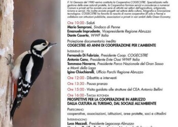 La coop Cogecstre compie 40 anni