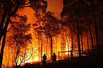 Le aree protette più colpite dalle fiamme in Australia