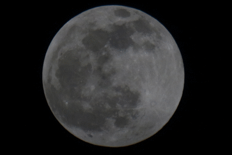 Le foto della prima eclissi del 2020