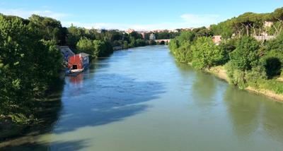 Il Tevere non è più così sporco