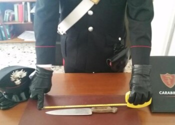 Litiga con fratello e lo accoltella