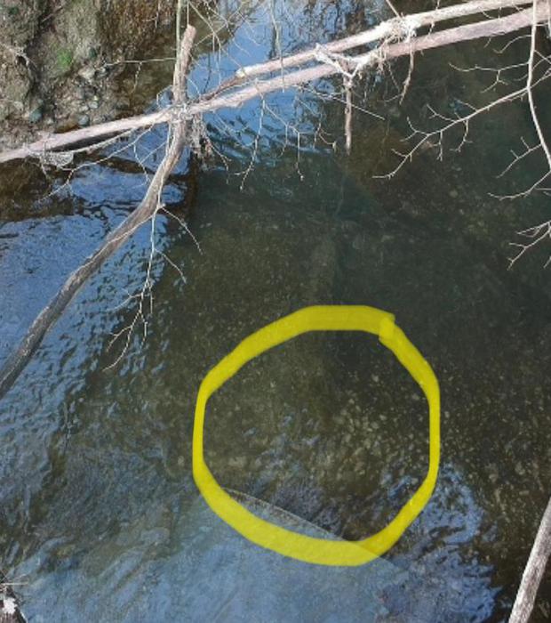 Maestra uccisa, ritrovata arma delitto