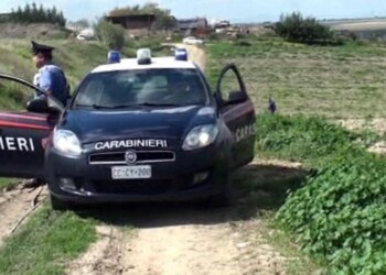 Mani dei clan sui fondi Ue, l’agricoltura nel mirino delle mafie