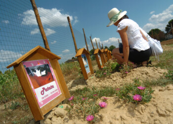 Mozione per cimitero animali Falconara