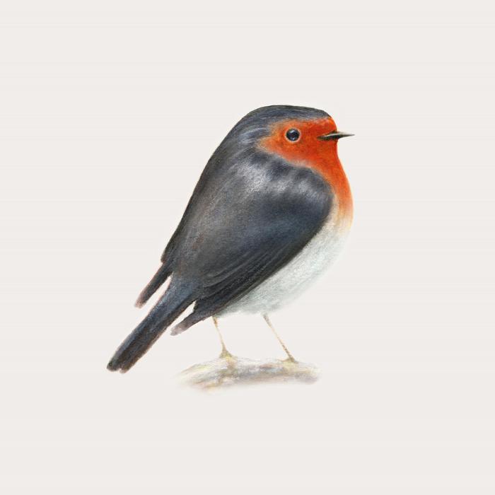 Musica: hit parade, Cip! conquista la vetta