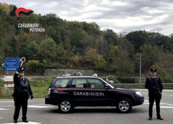 Nel Potentino cinque patenti ritirate