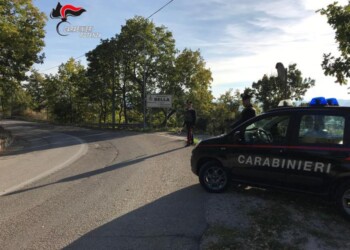 Quattro arresti in provincia di Potenza