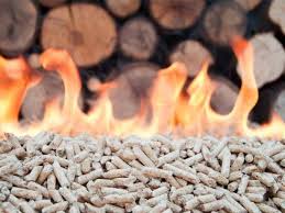 RISCALDAMENTO A BIOMASSA, SETTORE IN CRESCITA CHE CONTRIBUISCE AD ABBATTERE POLVERI E CO2 A PROGETTO FUOCO 800 ESPOSITORI E L’INNOVAZIONE DELLE STARTUP